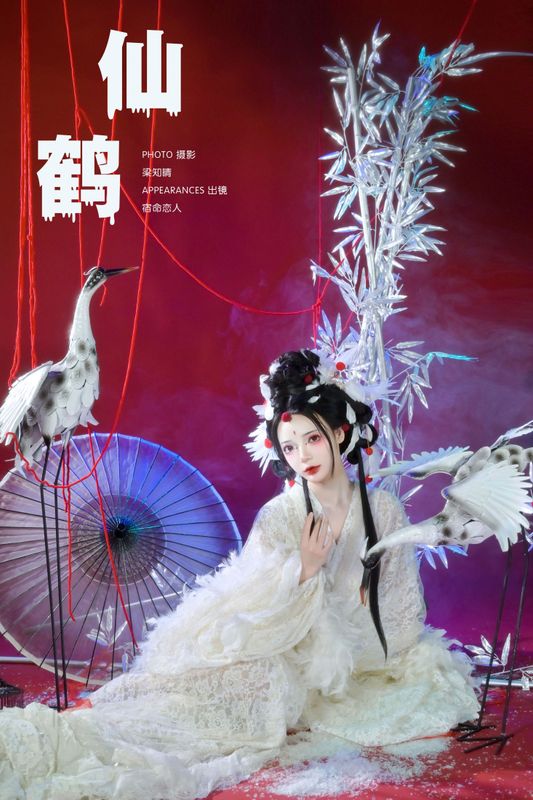哩小莹 – 《仙鹤》[24P] - 机器猫次元