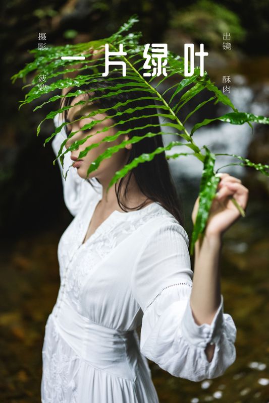 再来碗酥肉 – 《一片绿叶》[20P] - 机器猫次元