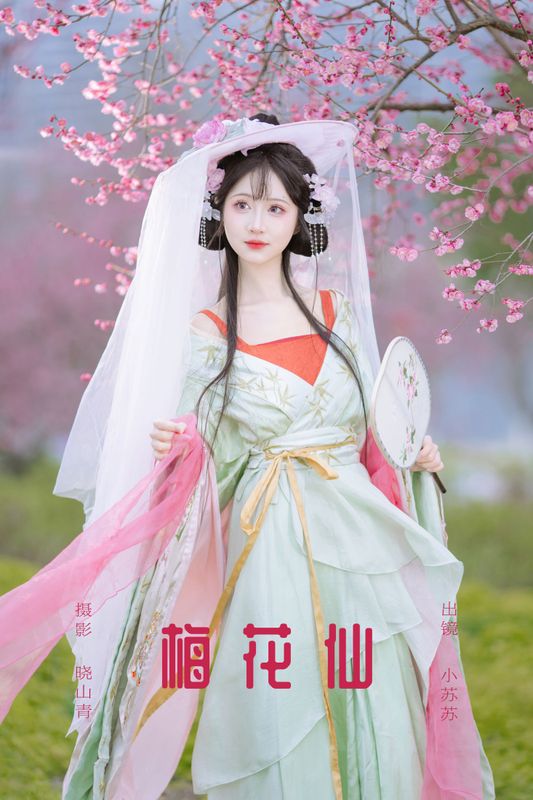 绮罗生的小苏苏 – 《梅花仙》[21P] - 机器猫次元