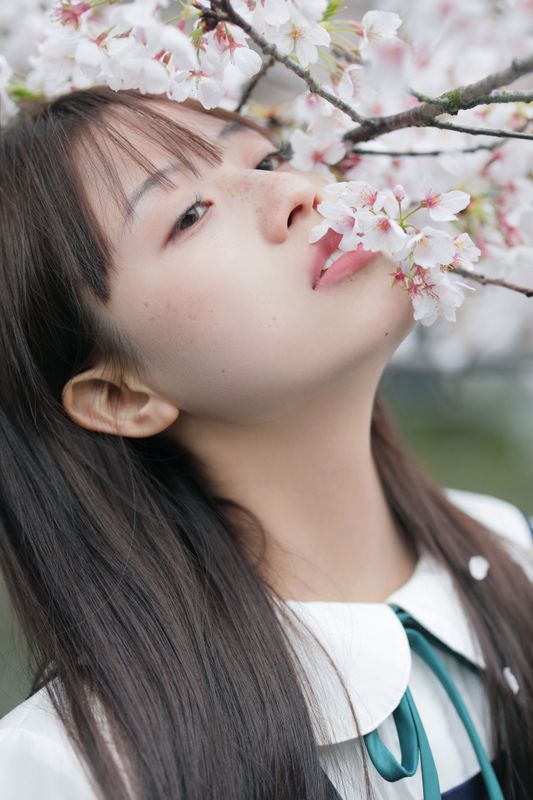 – 《春日礼赞》[35P] - 机器猫次元