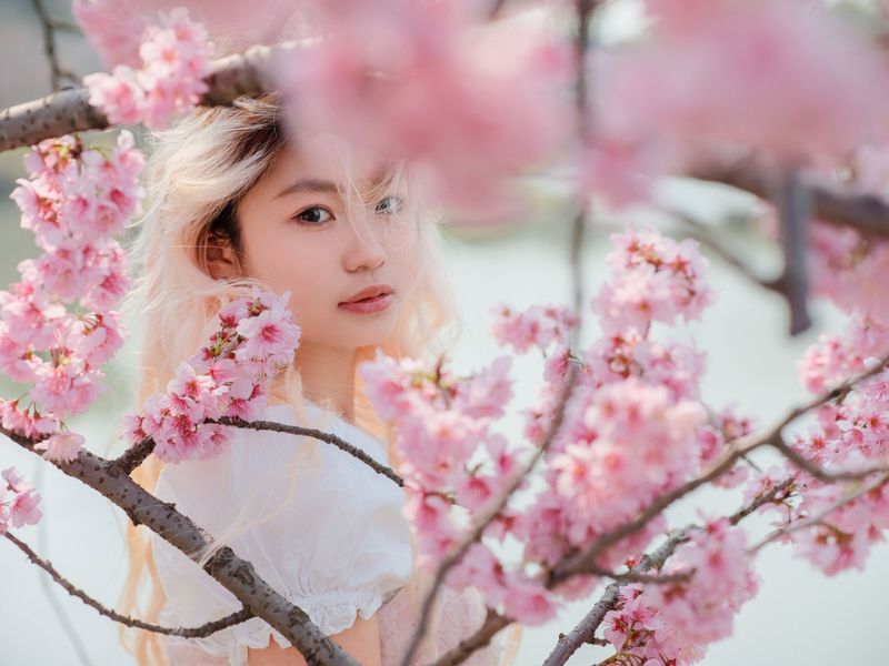 点点 – 《樱花树下》[16P]