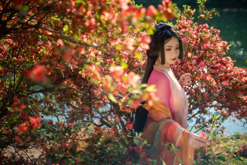 零基础的米团 – 《锦瑟》[24P] - 机器猫次元