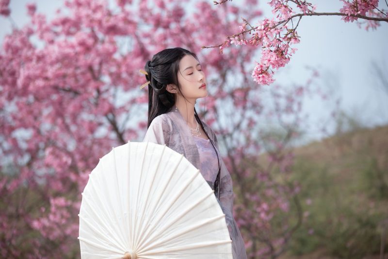 秋雨 – 《春樱》[16P] - 机器猫次元