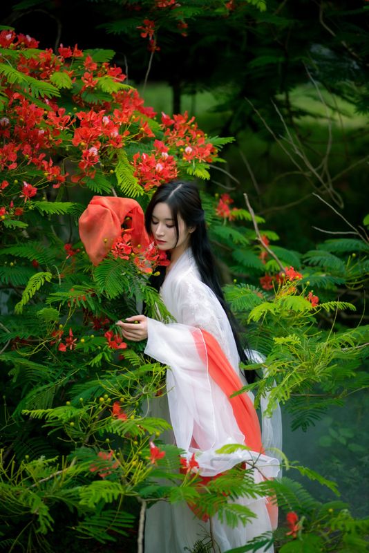 小冉 – 《凤凰花开》[18P] - 机器猫次元