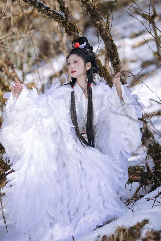赤嫣在这里～ – 《鹤族圣女》[18P] - 机器猫次元