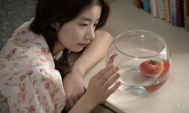 朝朝 – 《夏日时光》[54P] - 机器猫次元