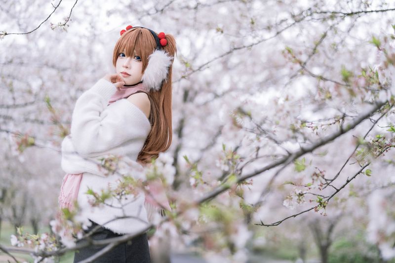 挽希- – 《静怡樱花林》[23P] - 机器猫次元