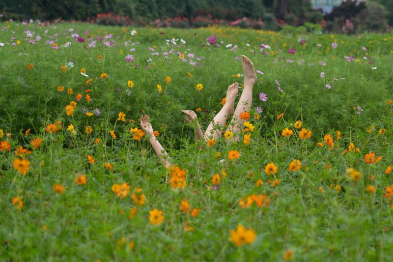 汉堡汉堡 – 《自然里的独白》[24P] - 机器猫次元