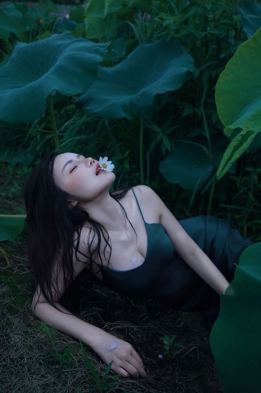 泽书 – 《碧罗栽夏》[18P] - 机器猫次元