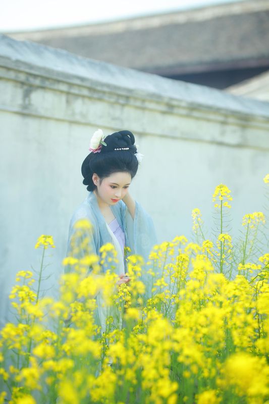 6161 – 《唐风写真油菜花》[24P] - 机器猫次元