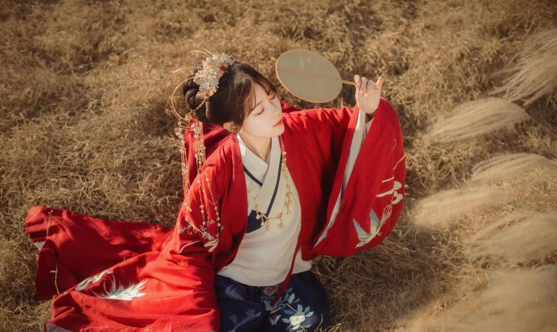 公子不坏 - 《扶摇歌》[29P] - 机器猫次元 - 机器猫次元