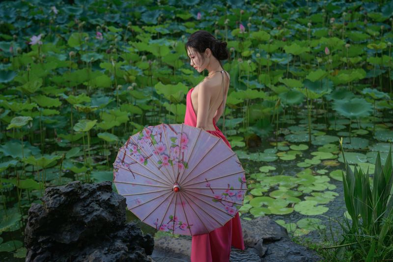 瑾瑾吖 – 《雨荷》[17P] - 机器猫次元