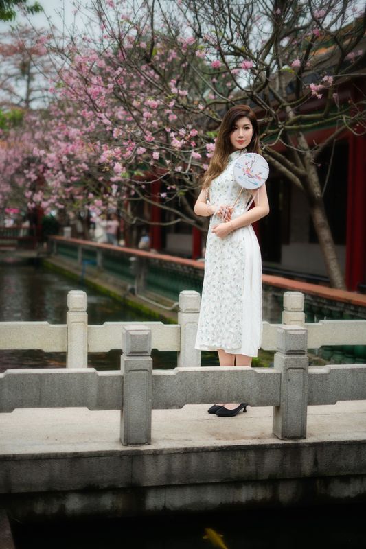 辣鼻小新 – 《旗袍美女》[15P] - 机器猫次元
