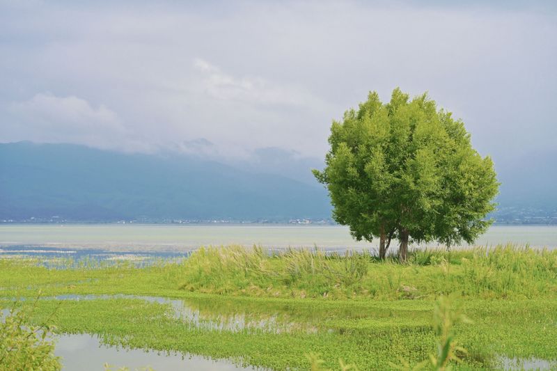 – 《拉市海湿地公园》[13P]
