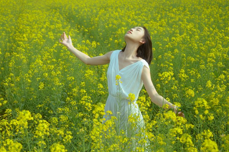 心洁 – 《蝴蝶与油菜花》[32P] - 机器猫次元