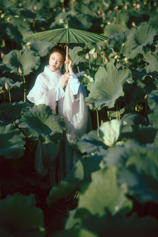 有有。 – 《晚荷》[37P] - 机器猫次元