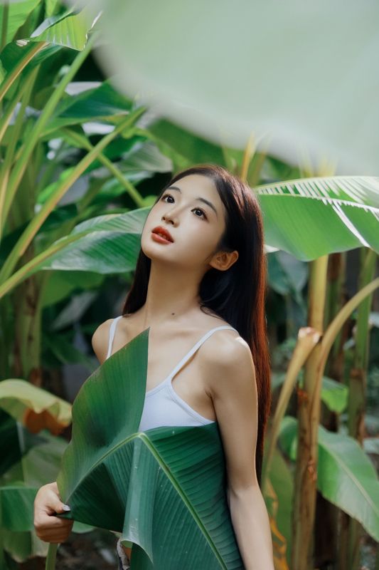 蝴蝶 – 《芭蕉叶下的邂逅》[25P] - 机器猫次元
