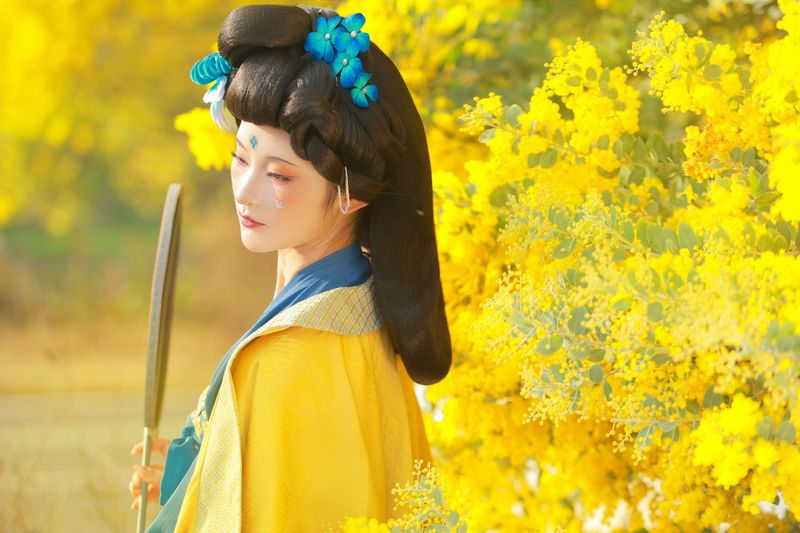 不听山 – 《唐 • 金合欢》[11P] - 机器猫次元