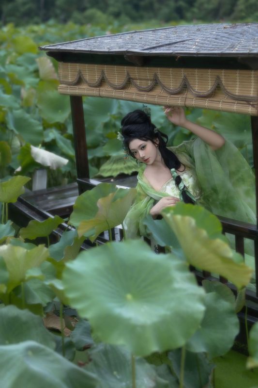 落雨清玲 – 《荷 • 绿》[13P] - 机器猫次元