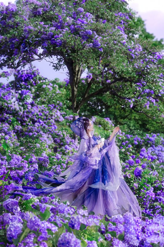 乐安 - 《以花遥祝，四方葳蕤》[18P] - 机器猫次元 - 机器猫次元