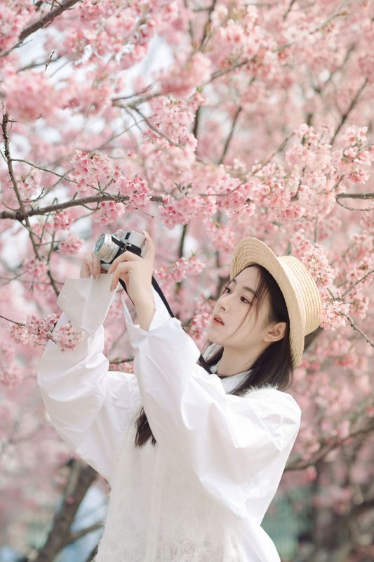 予晗 – 《樱花盛开》[37P]