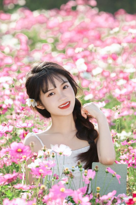 《格桑花海》[13P] - 机器猫次元