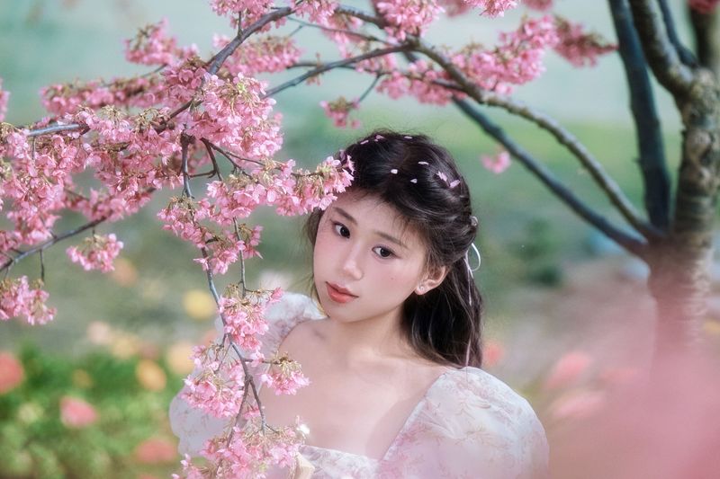 丹丹 – 《樱花树下》[18P] - 机器猫次元