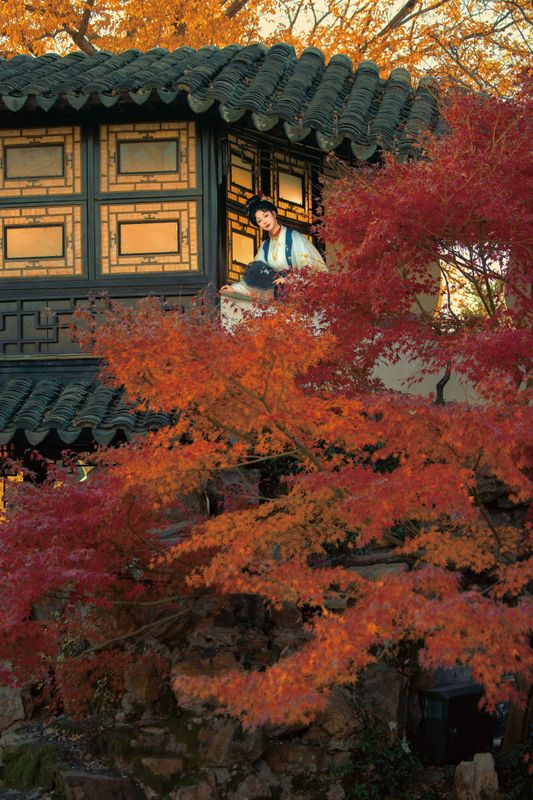 赵噗噗 – 《墙头马上遥相顾》[20P] - 机器猫次元
