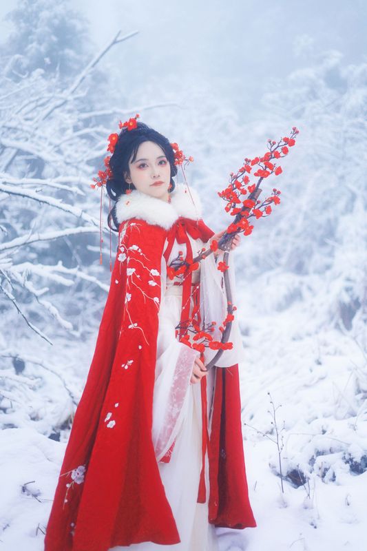 《踏雪寻梅》[10P] - 机器猫次元 - 机器猫次元