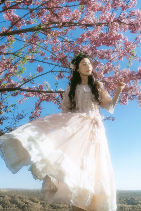露丝 – 《春樱》[24P] - 机器猫次元
