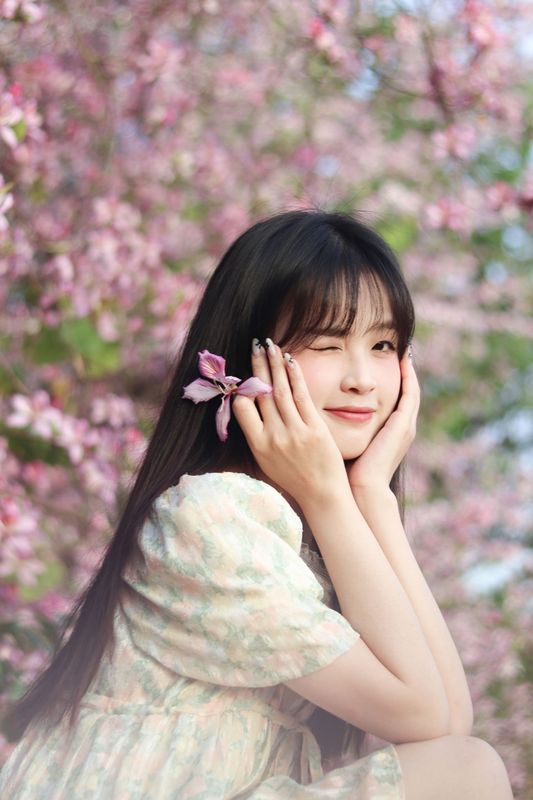 《紫荆花满城》[21P] - 机器猫次元