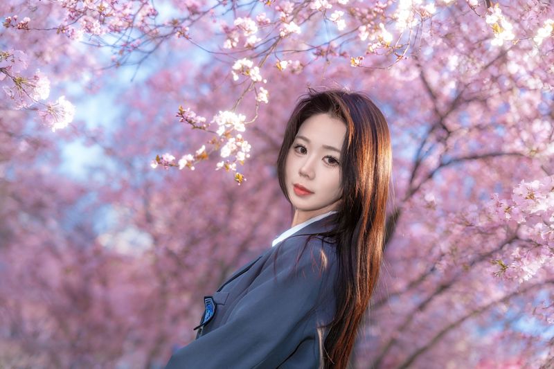 pig – 《樱花树下》[9P] - 机器猫次元