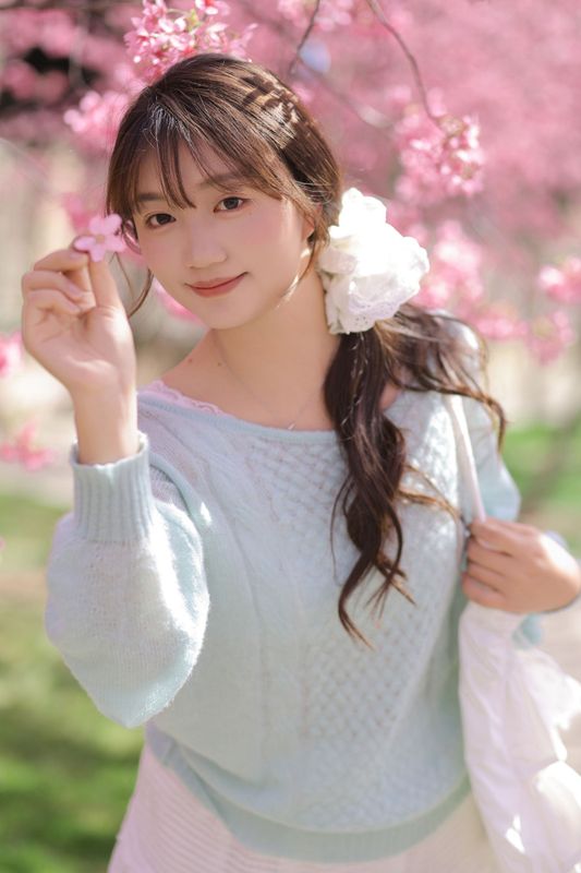 《春日限定樱花季》[21P] - 机器猫次元