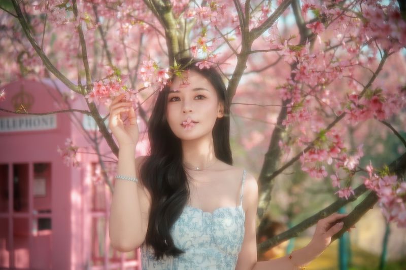 《樱花》[9P] - 机器猫次元