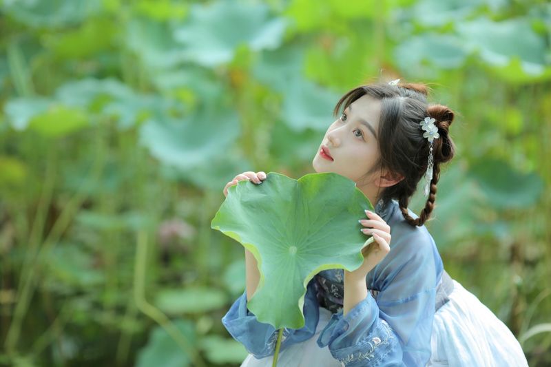 《荷花不知道的是，她就是夏天》[10P] - 机器猫次元