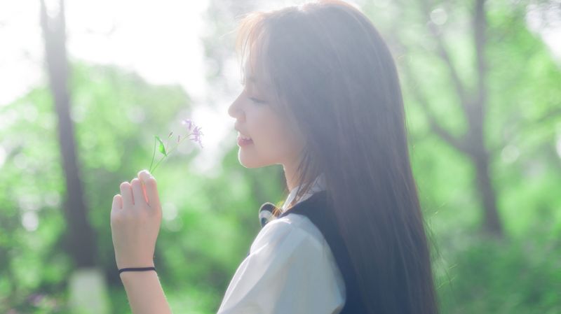《林间乐章》[27P]