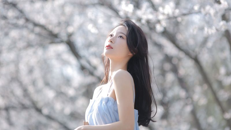 《在樱花车站，等来往春天的巴士》[12P] - 机器猫次元