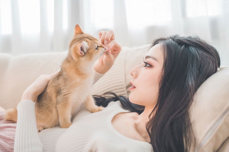 《哈基尼 小猫咪》[10P] - 机器猫次元 - 机器猫次元