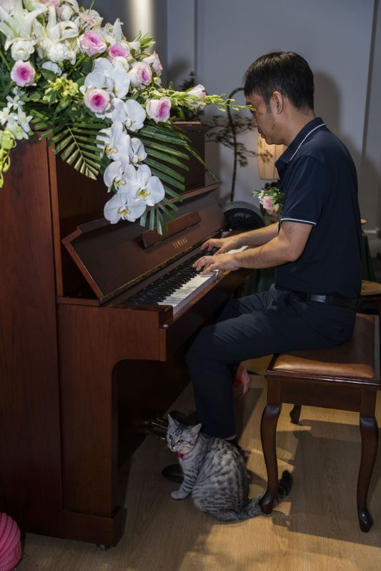 《好奇猫，觅琴音》[9P] - 机器猫次元 - 机器猫次元