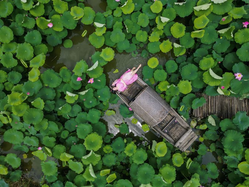 《兴尽晚回舟，误入藕花深处》[27P] - 机器猫次元