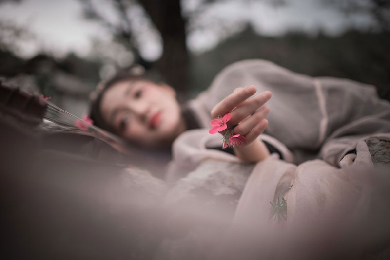《落花枕琴，醉卧山林》[11P] - 机器猫次元